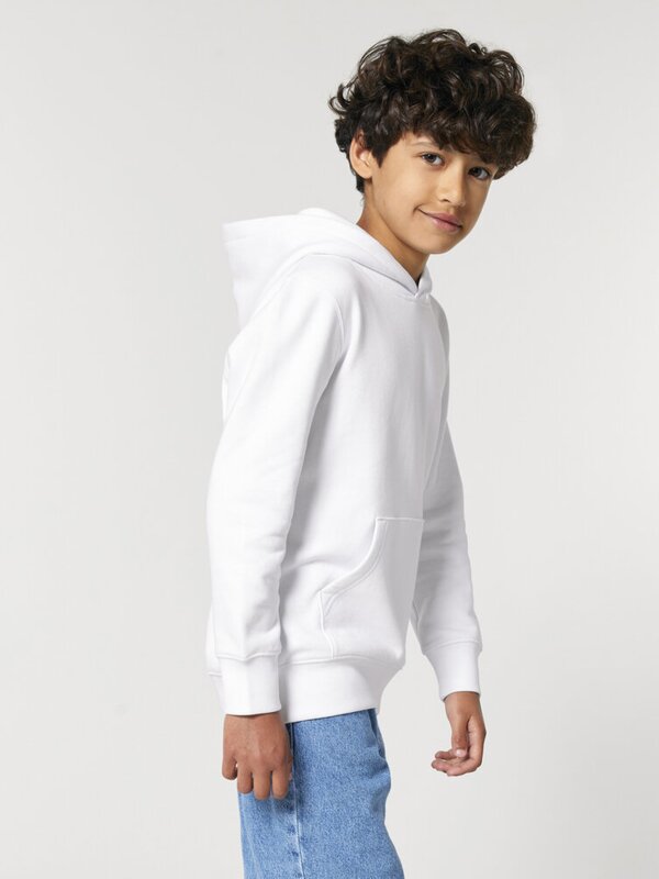 Kids Iconic Hoodie 300gsm Thumbnail