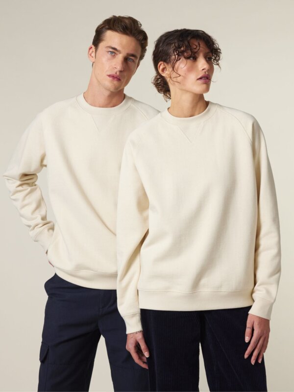Unisex Relaxed Raglan Sweatshirt Thumbnail